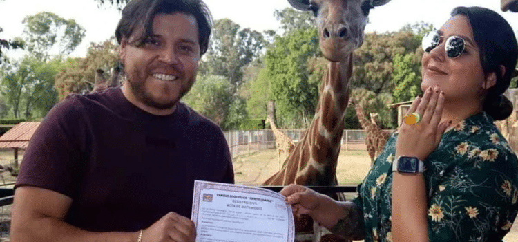 Cásate en el Zoológico … con una jirafa como testigo