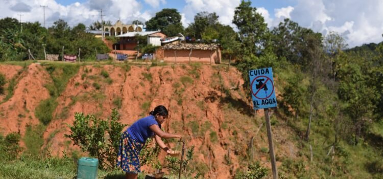 Impulsarán infraestructura para indígenas y afromexicanos