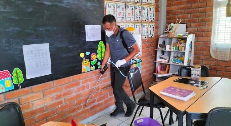 Reportan brote de chinches y garrapatas en escuelas