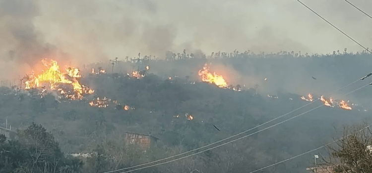 Por prender fuego a la basura, se quema todo un cerro