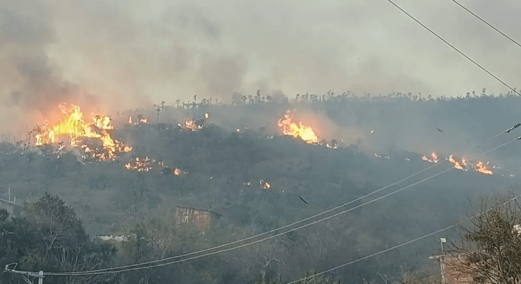 Por prender fuego a la basura, se quema todo un cerro