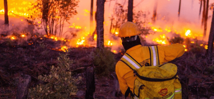 Incendios en Chilpancingo fueron provocados