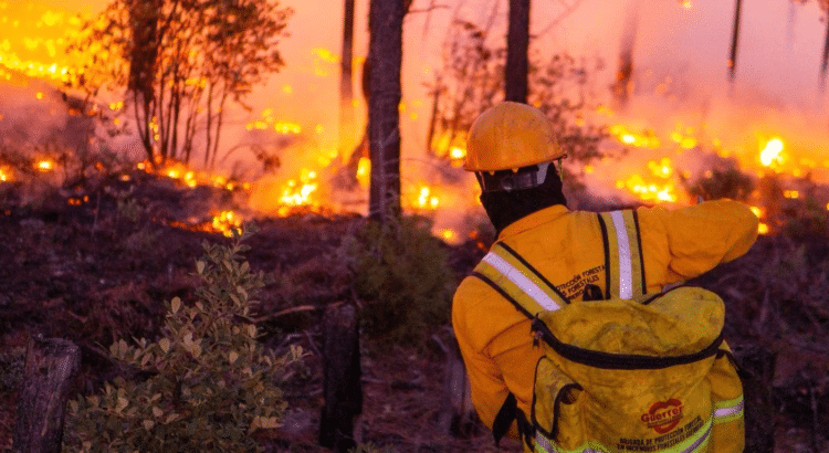 Incendios en Chilpancingo fueron provocados