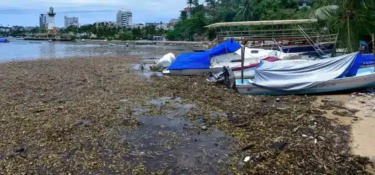 Por riesgo a la salud, piden no abrir Playa Manzanillo: Hoteleros
