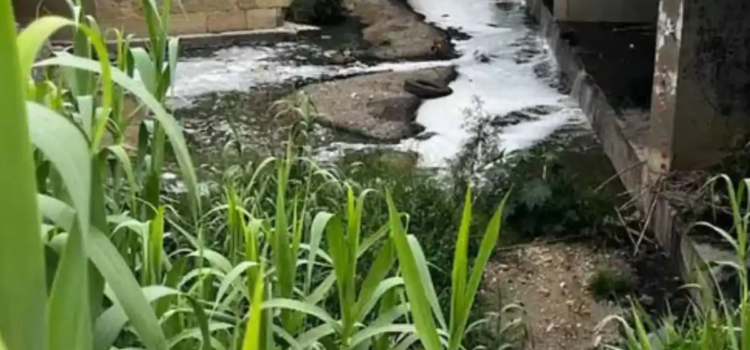 Descendió México en el Índice de Desempeño Ambiental 2024 Descendió México en el Índice de Desempeño Ambiental 2024