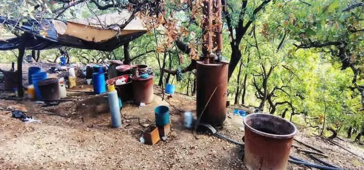 Desmantelan laboratorio clandestino en Guerrero
