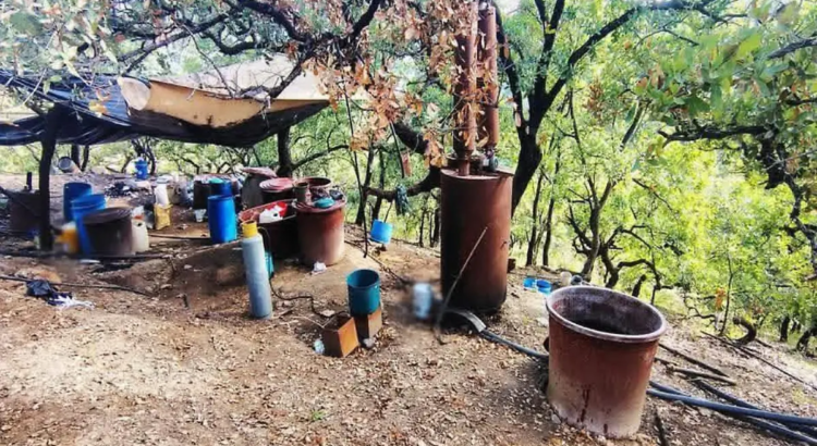 Desmantelan laboratorio clandestino en Guerrero