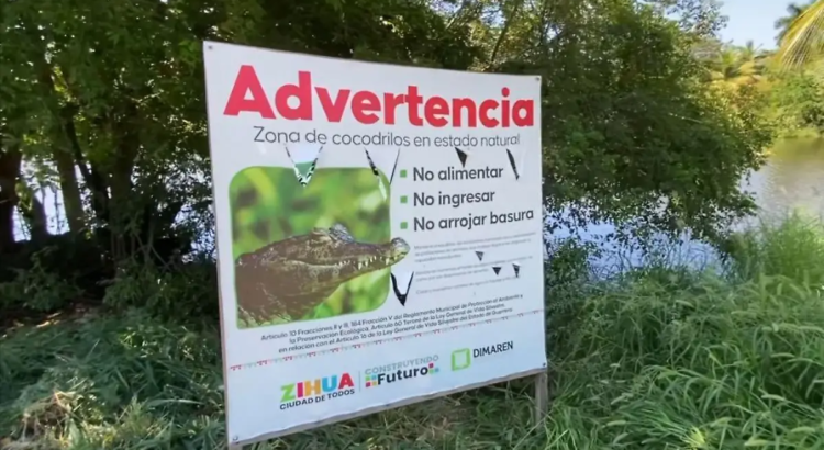 Instalan letreros de advertencia por presencia de cocodrilos en la laguna El Paraíso Instalan letreros de advertencia por presencia de cocodrilos en la laguna El Paraíso
