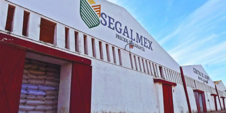 Van 27 detenidos por el caso Segalmex