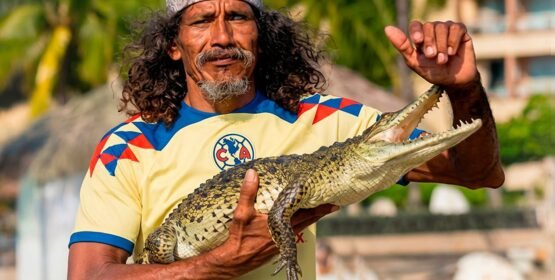 Fallece Tamakún; despiden al rey de los cocodrilos en playa de Zihuatanejo