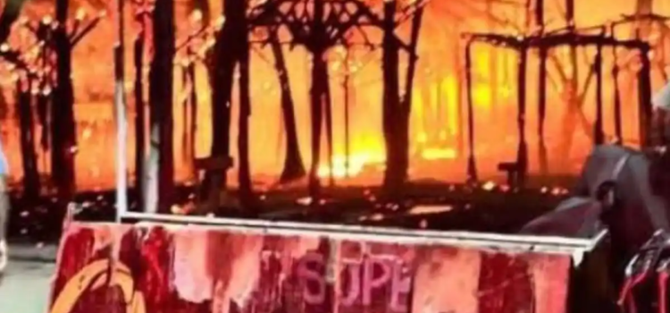 Destruye incendio más de 200 palapas en zona turística de Mahahual