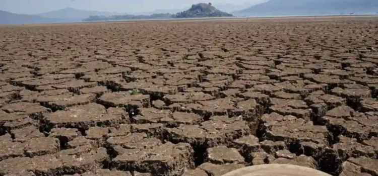 Cierra México el 2025 con 20.5% del territorio afectado por la sequía Cierra México el 2025 con 20.5% del territorio afectado por la sequía