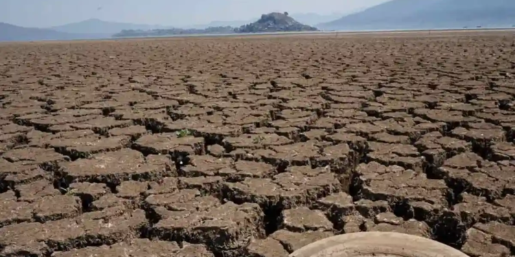 Cierra México el 2025 con 20.5% del territorio afectado por la sequía