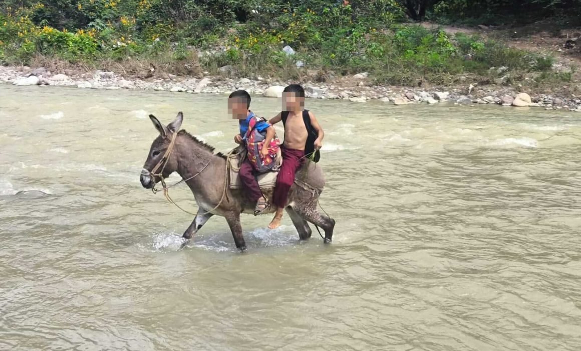 Niños arriesgan la vida para ir a clases; exigen a Sheinbaum un puente en la sierra de Guerrero